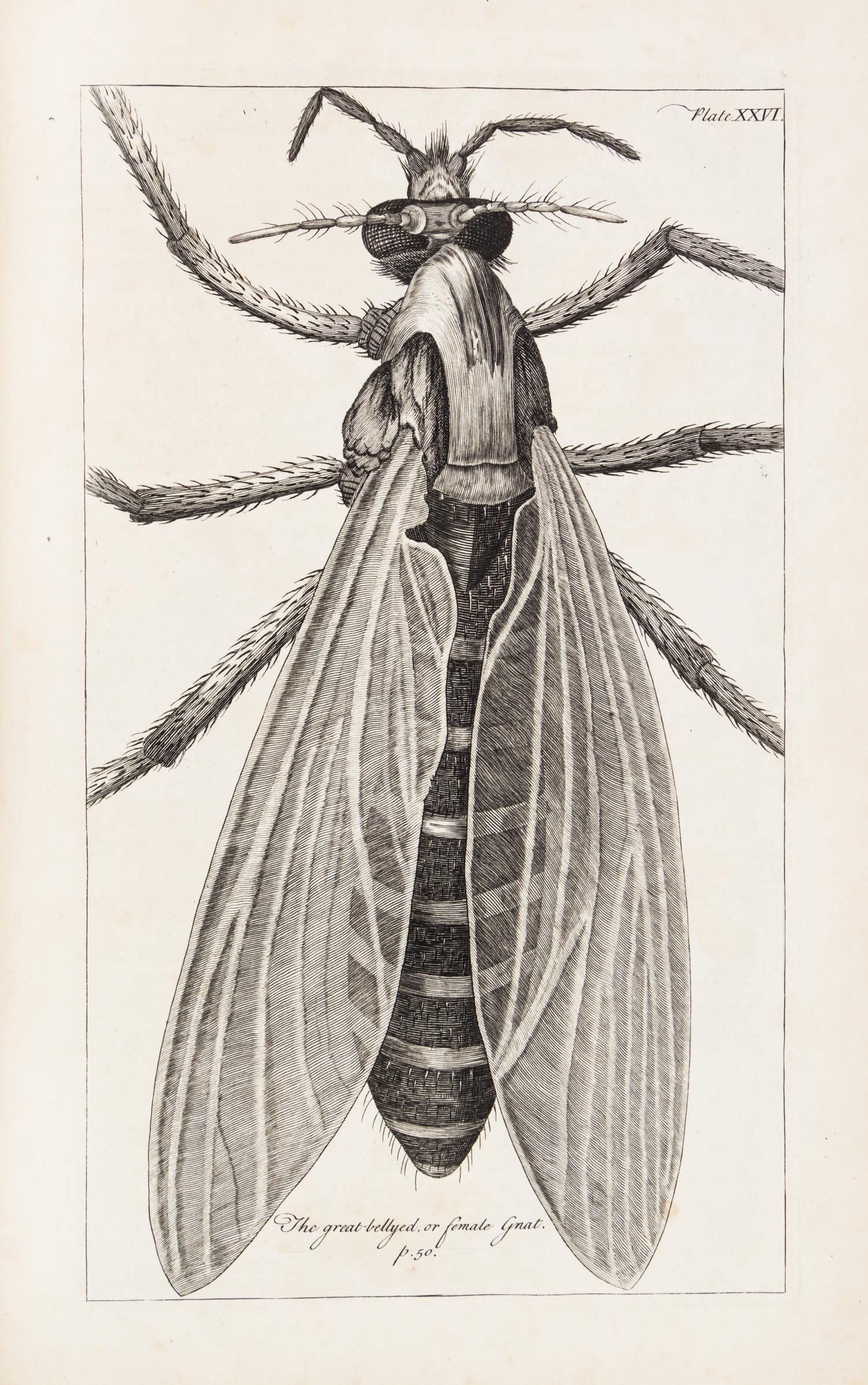 HOOKE, ROBERT. Micrographia Restaurata... London, 1745. Second edition, complete.