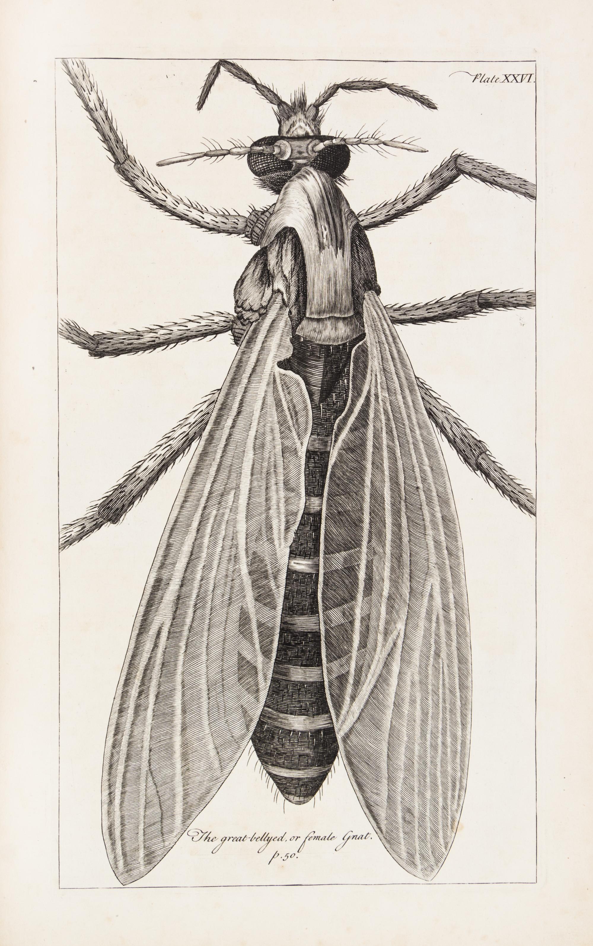 HOOKE, ROBERT. Micrographia Restaurata... London, 1745. Second edition, complete.