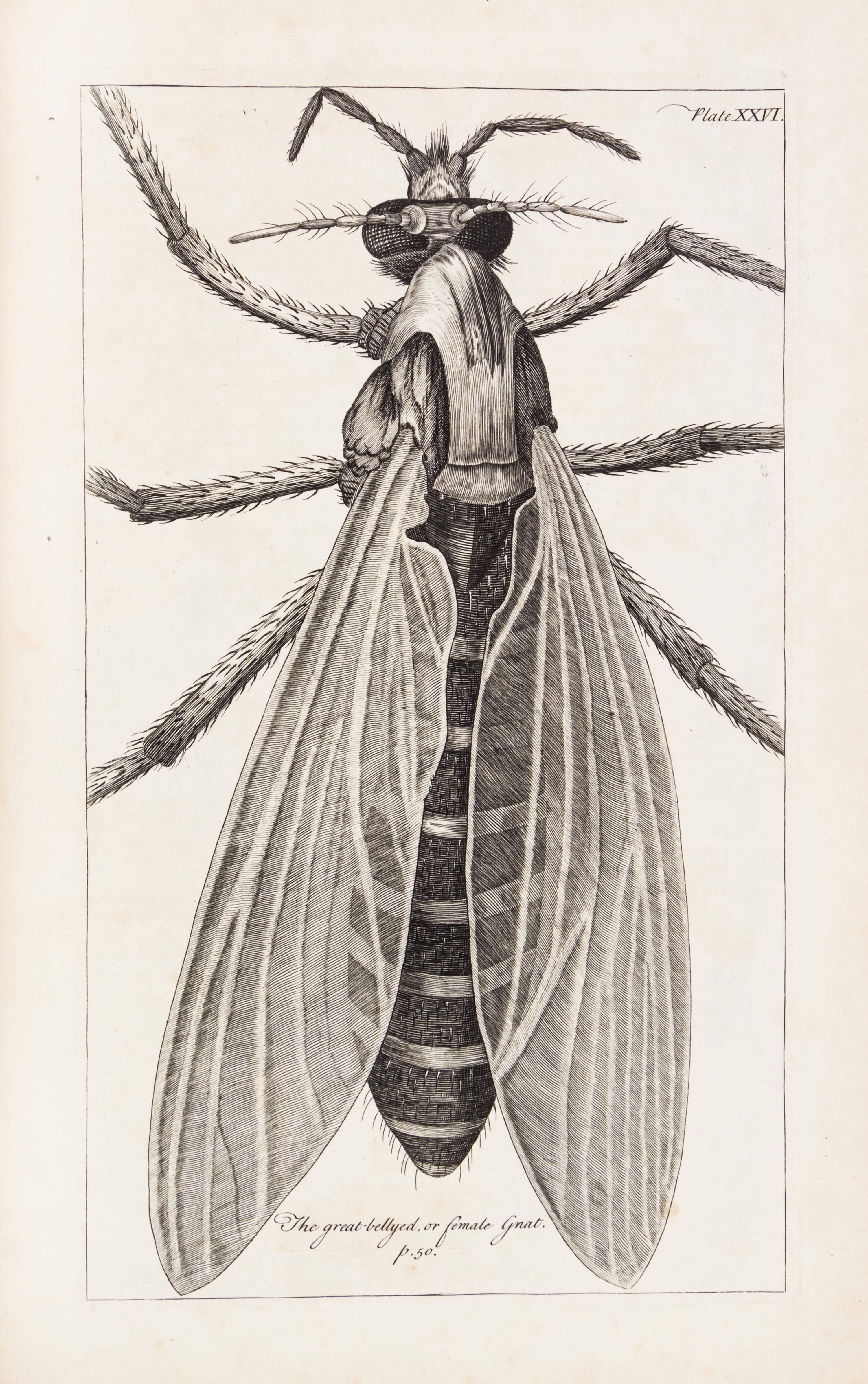 HOOKE, ROBERT. Micrographia Restaurata... London, 1745. Second edition, complete.