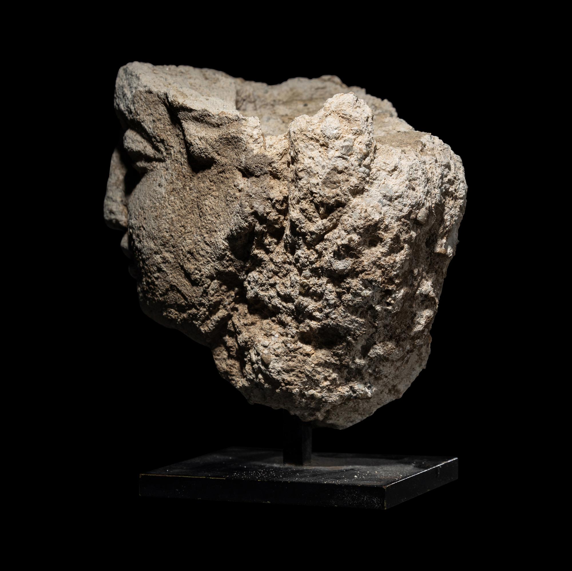 A Gandharan Stucco Head