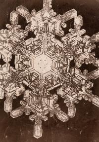 Snowflake , 1885-1931