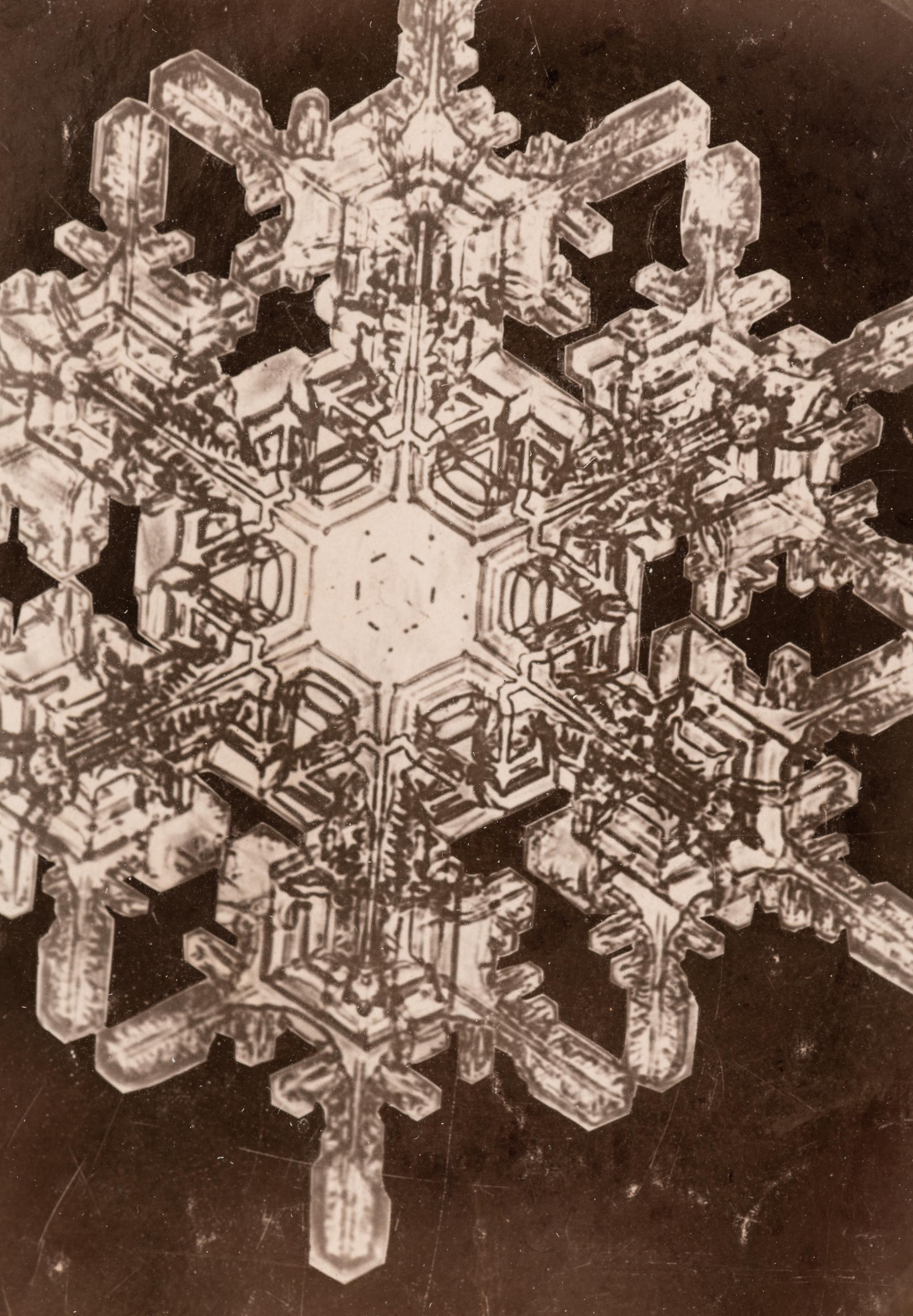 Snowflake , 1885-1931