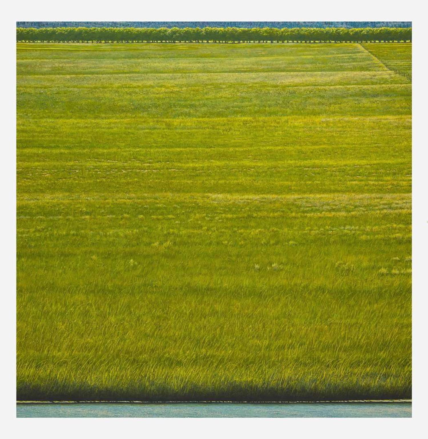 Woody Gwyn (American, b. 1944) Field/Pond 1