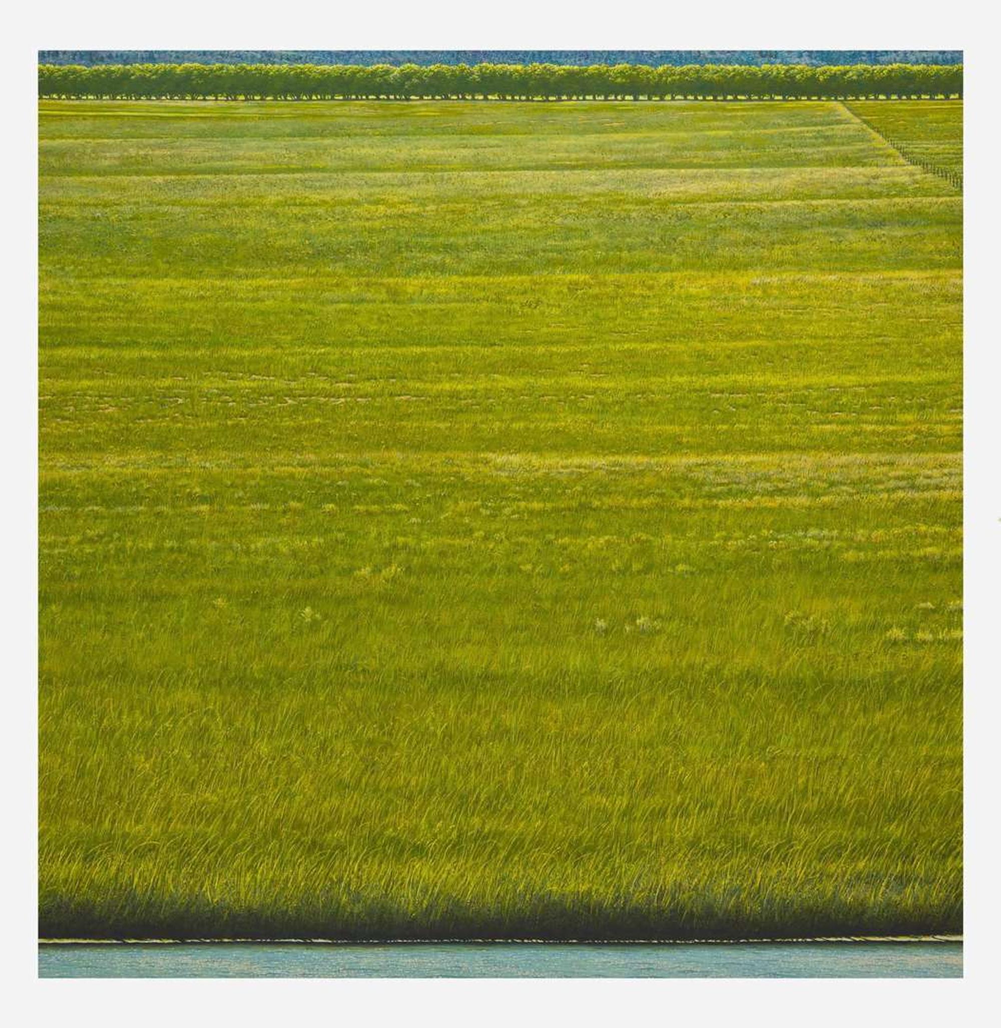 Woody Gwyn (American, b. 1944) Field/Pond 1