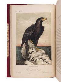 [NATURAL HISTORY]. CASSIN, John (1813-1869). Illustrations of the Birds of California, Texas, Oregon, British and Russian American . Philadelphia: J.B. Lippincott & Co., [1853]-1856.
