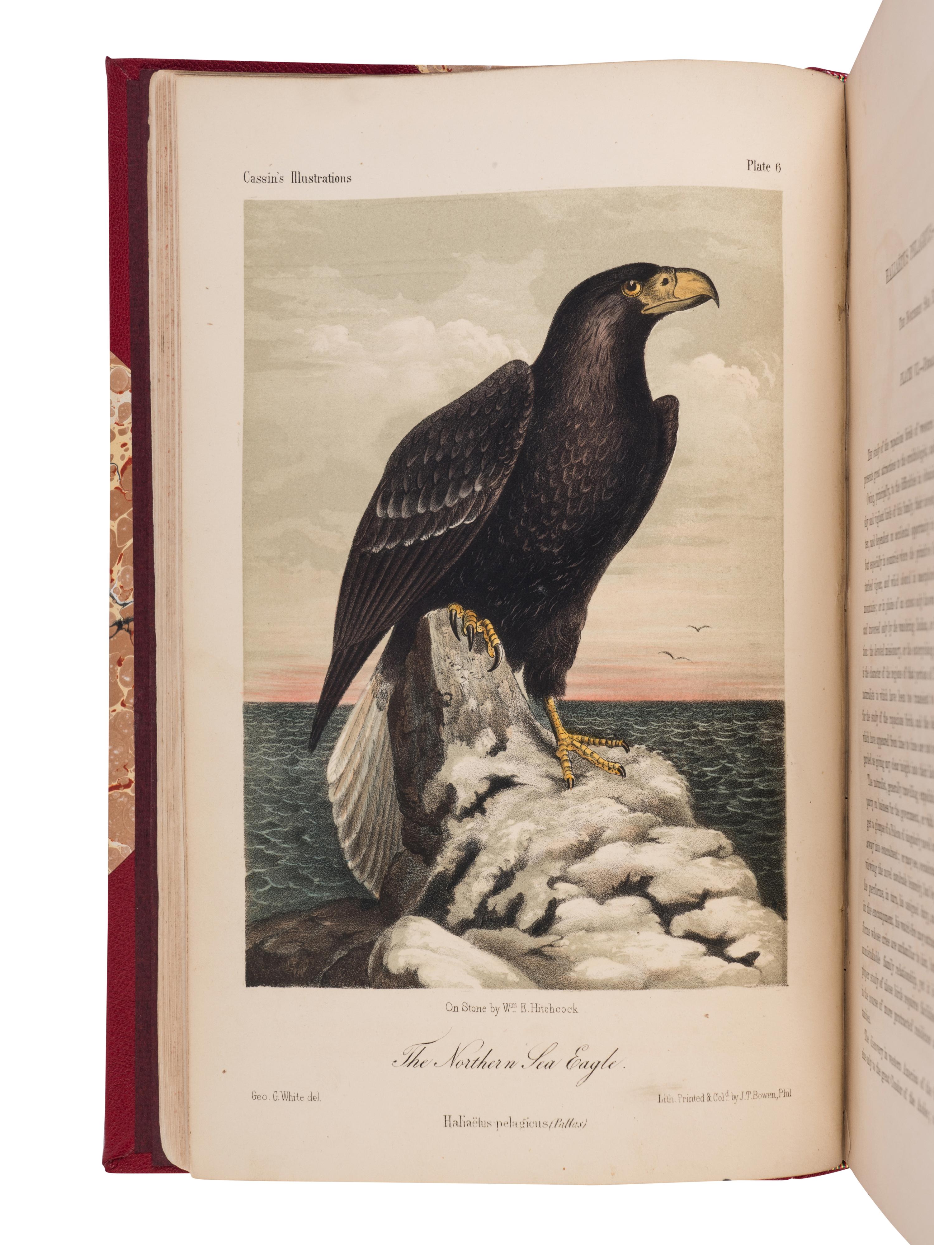 [NATURAL HISTORY]. CASSIN, John (1813-1869). Illustrations of the Birds of California, Texas, Oregon, British and Russian American . Philadelphia: J.B. Lippincott & Co., [1853]-1856.