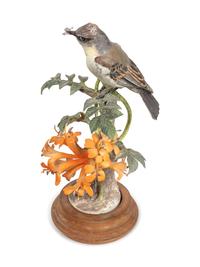 Two Royal Worcester Dorothy Doughty Porcelain Bird Groups with Brackets