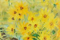 Fleurs