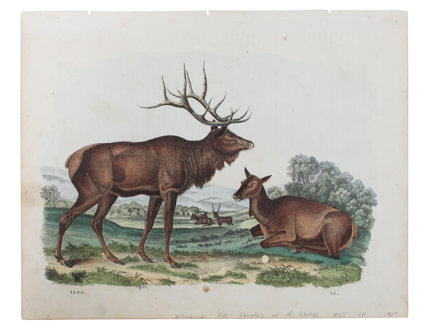 Five Hand Colored Game Prints 11 1/2 x 15 1/2 inches (largest) — 19TH CENTURY