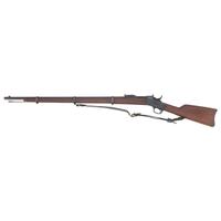 Argentinian Remington Model 1879 Rolling Block