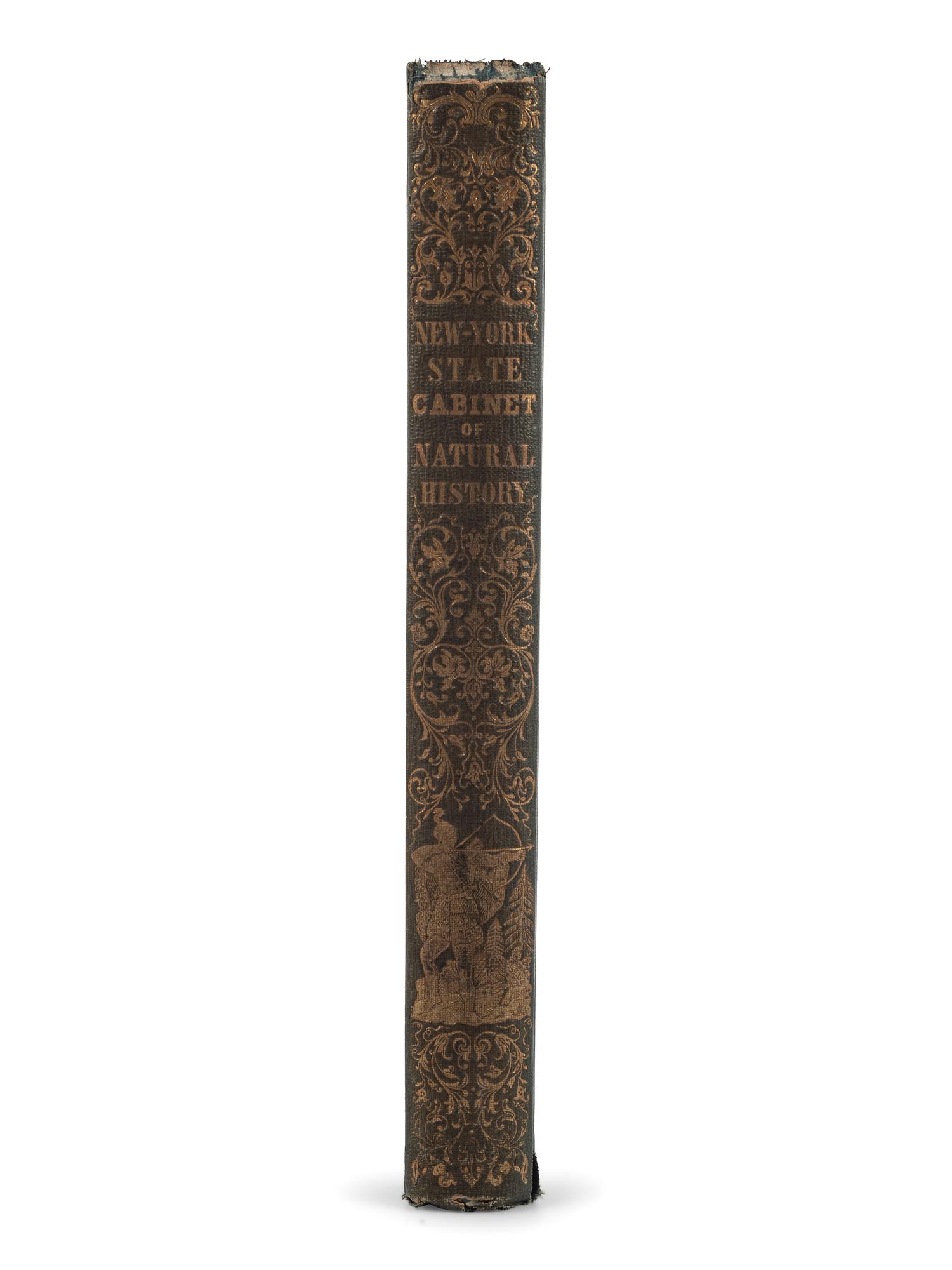 [PERIODICAL] On Indigenous Art