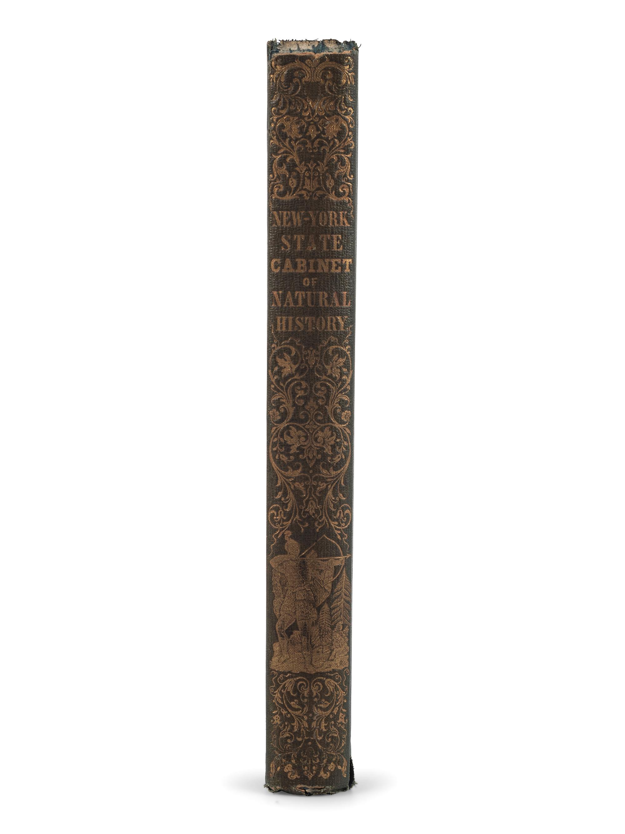 [PERIODICAL] On Indigenous Art