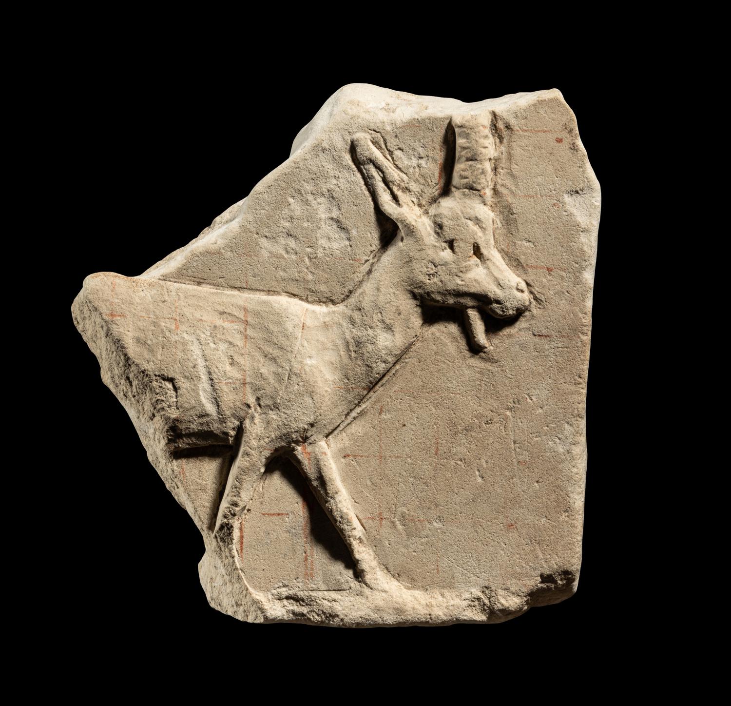 An Egyptian Limestone Sculptor's Model of a Goat