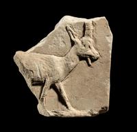An Egyptian Limestone Sculptor's Model of a Goat
