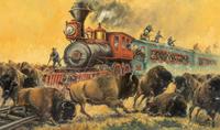 Railroad Targets Shoots On The Buffalo Plains