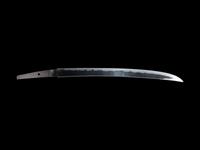 A Wakazashi