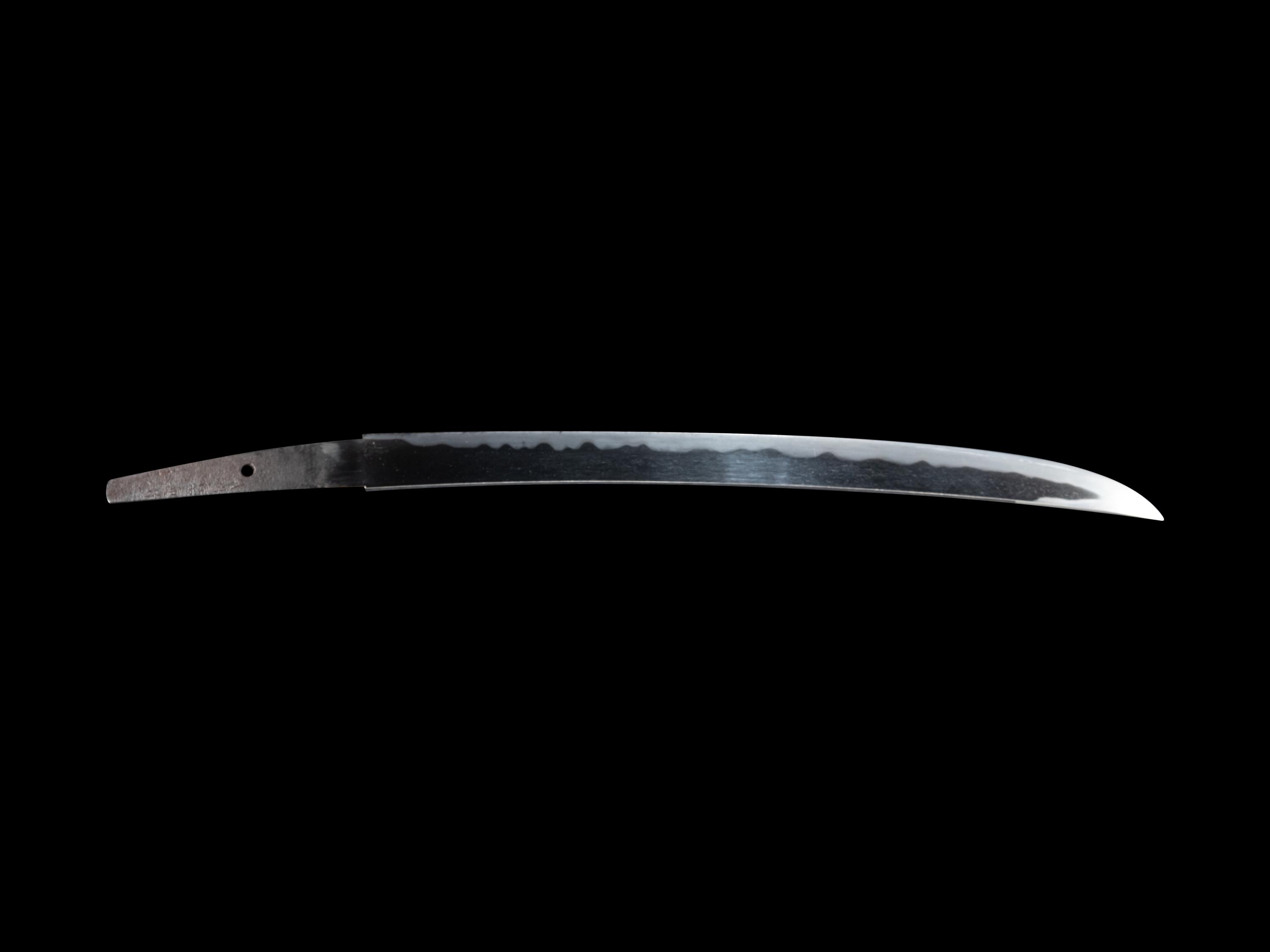 A Wakazashi