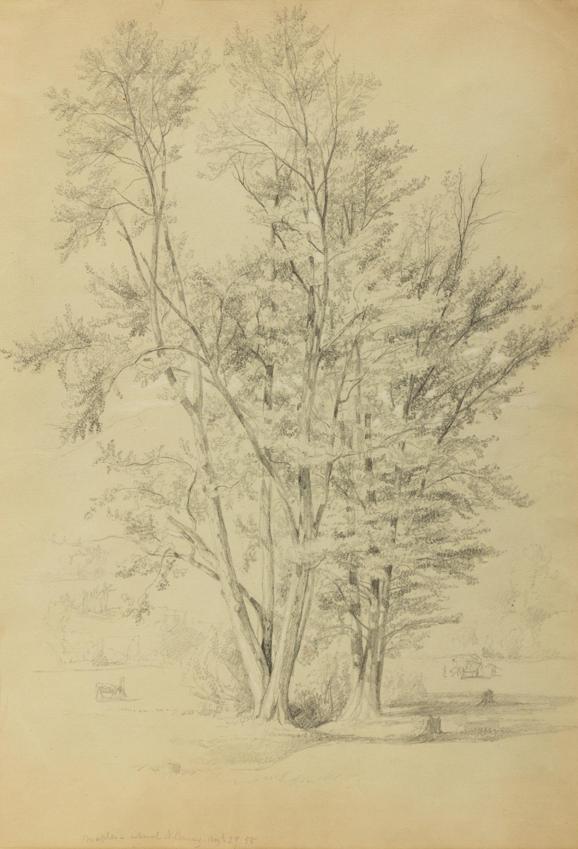 Two Trees: Maples - Interval, North Conway, New Hampshire