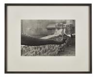 Untitled (from The Animals ) , circa 1963, printed later