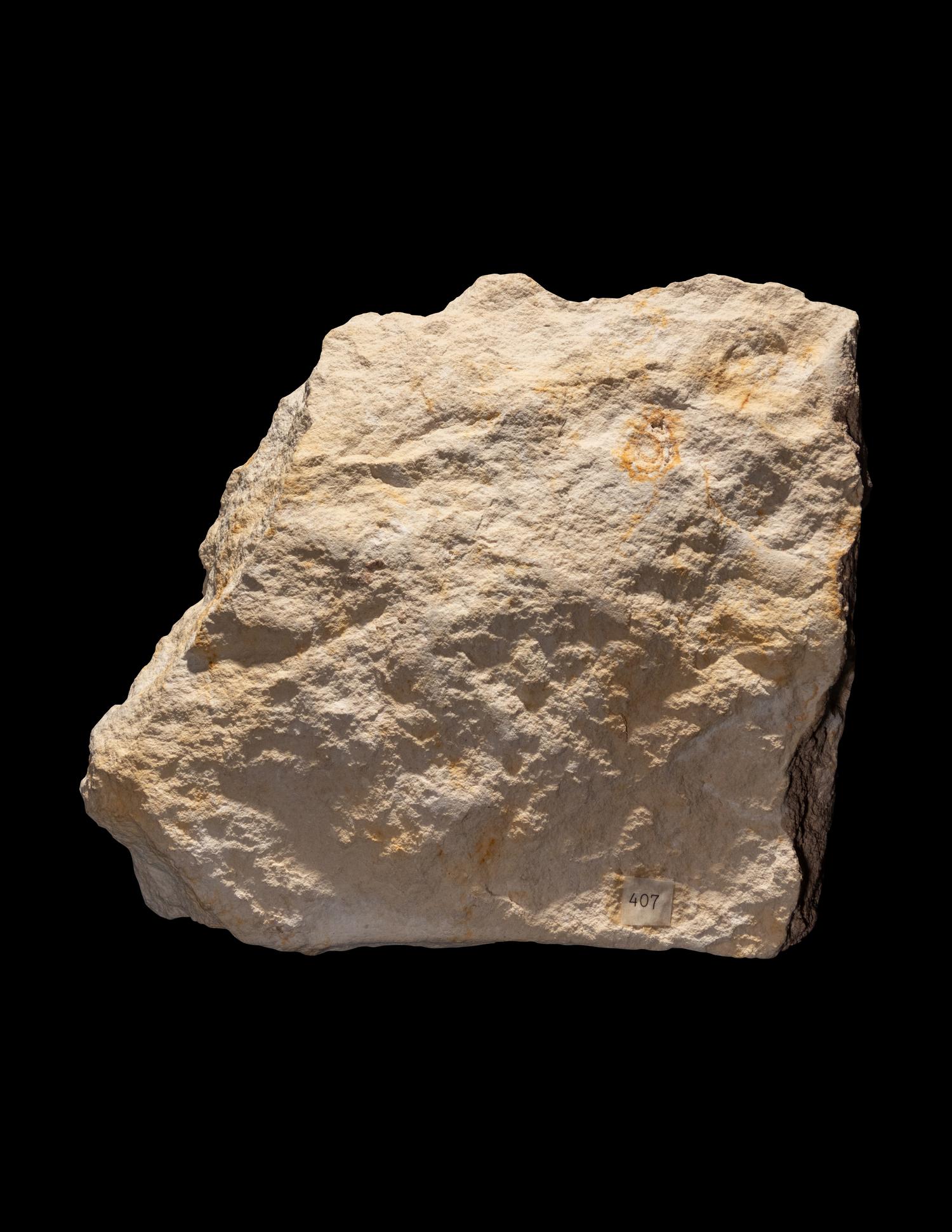 An Egyptian Limestone Relief