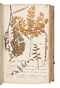 [SPECIMEN ALBUM]. JEANPIERRE, Sebastien. "Catalogue General de toutes les plantes mises pau Lettre alphabetique fait pau Sebastien Jeanpierre Garcon apotiquaire chez Le sieu Dierson M. apotiquaire." Nancy, France, 1741.
