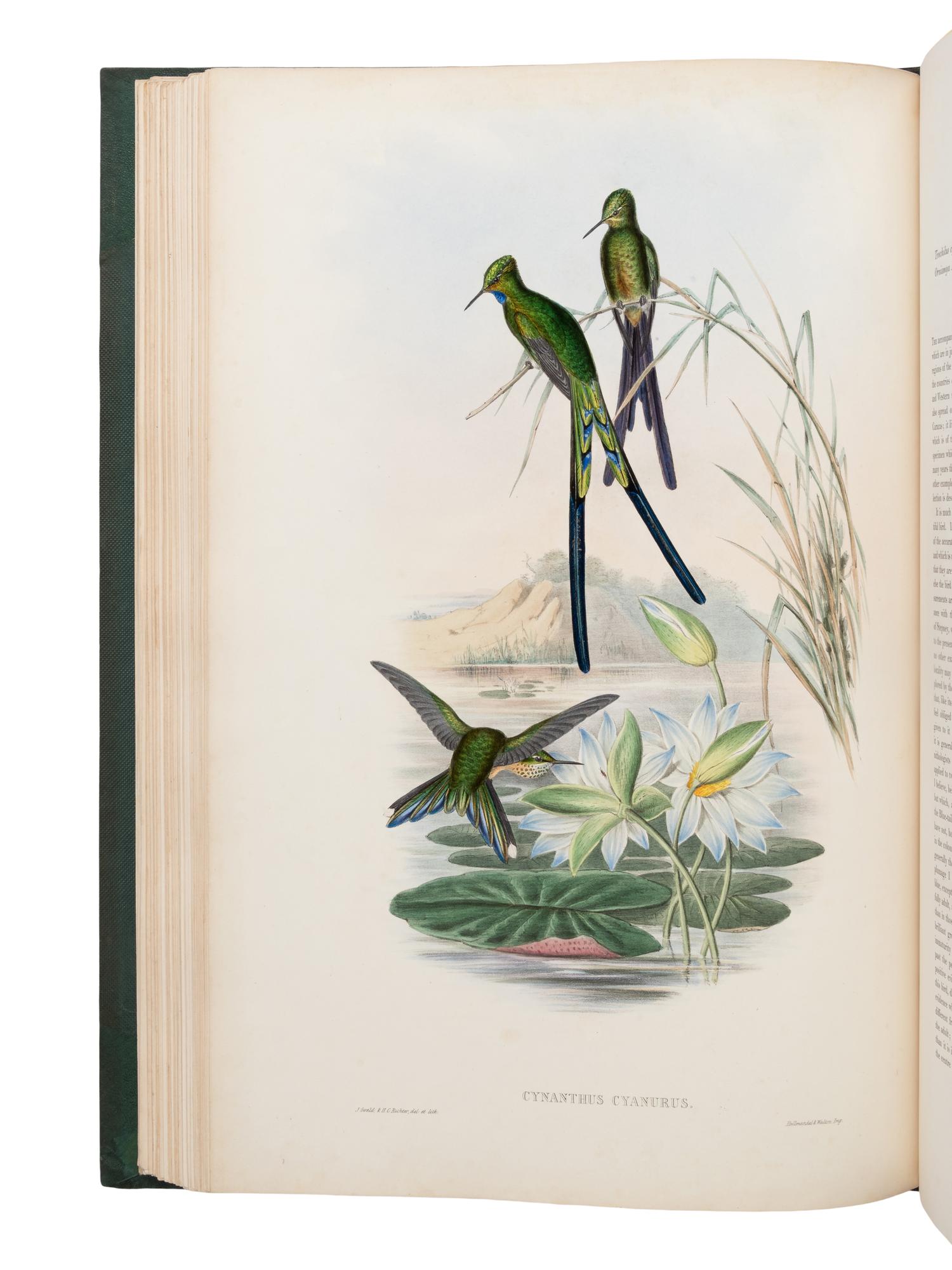 [NATURAL HISTORY]. GOULD, John (1804-1881). A Monograph of the Trochilidae, or Family of Humming-Birds . London: Taylor and Francis for the Author, [1849-] 1861.