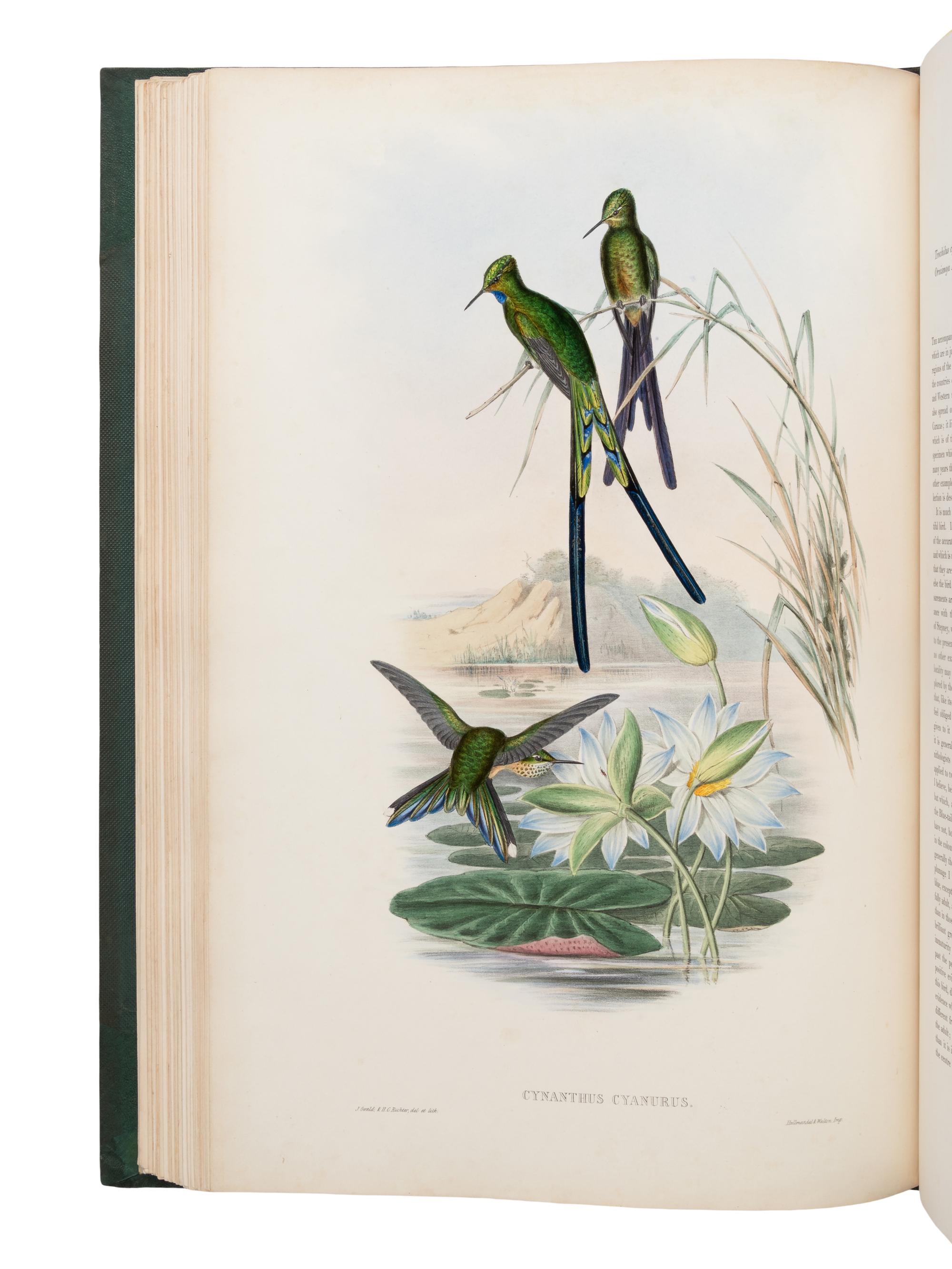 [NATURAL HISTORY]. GOULD, John (1804-1881). A Monograph of the Trochilidae, or Family of Humming-Birds . London: Taylor and Francis for the Author, [1849-] 1861.