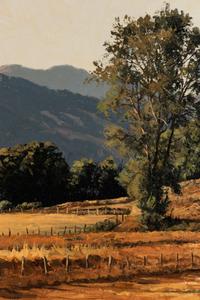 Autumn Meadows