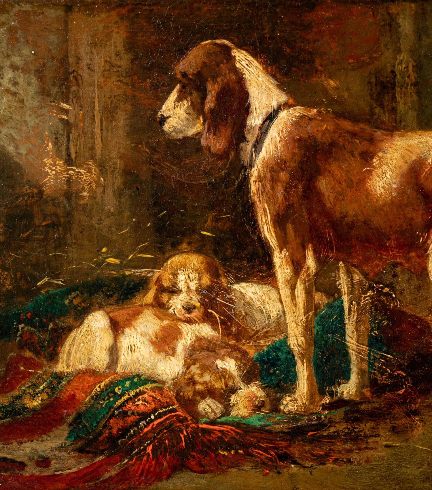 Foxhound with Litter