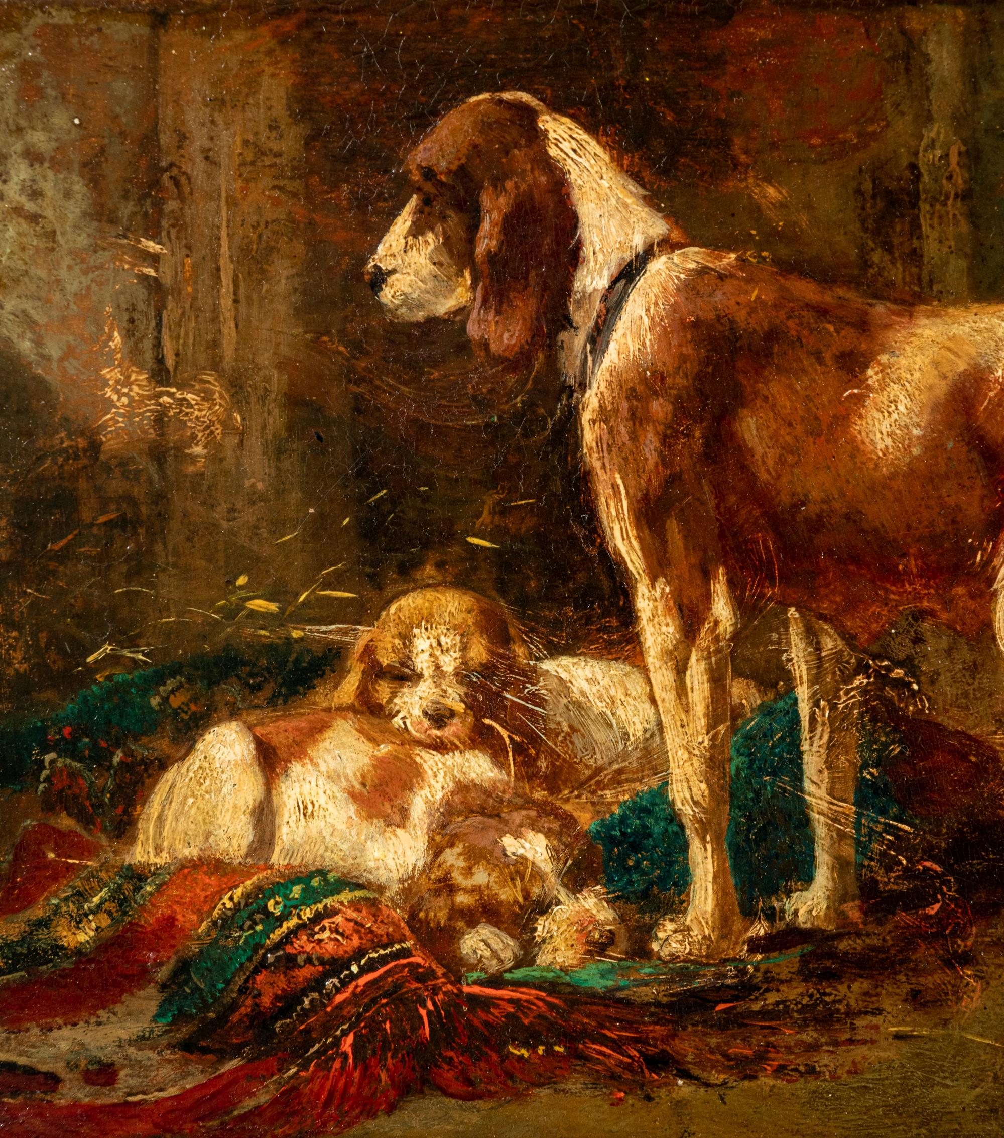 Foxhound with Litter