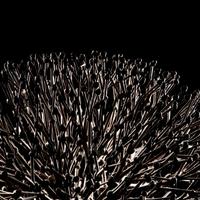 Untitled (Bush)