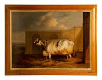 Untitled (Cow)