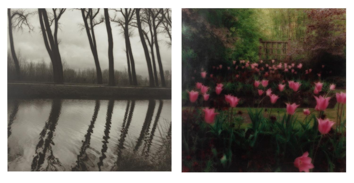 Damme, Belgium and Crathes Castle Garden, Scotland, a group of two works