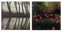Damme, Belgium and Crathes Castle Garden, Scotland, a group of two works