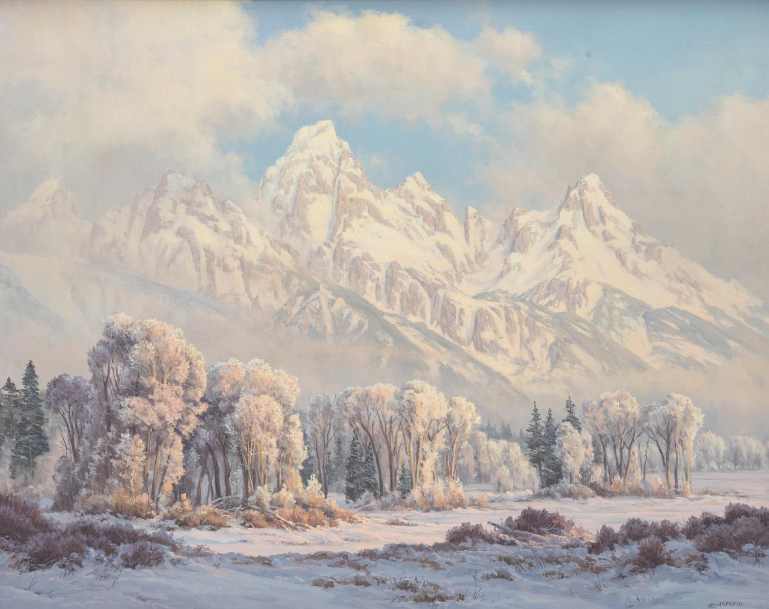 Morning in the Tetons