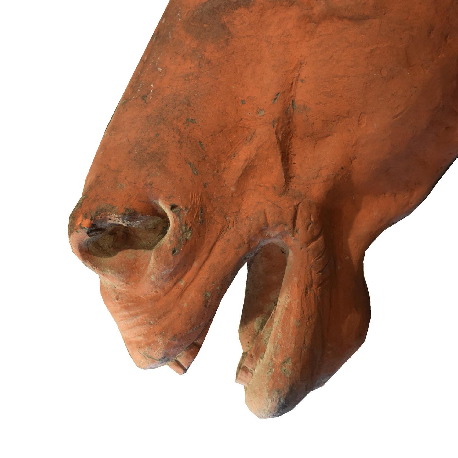 A Terra Cotta Horse Head 26" W x 12" D x 24" H — Italy, Early 20th Century