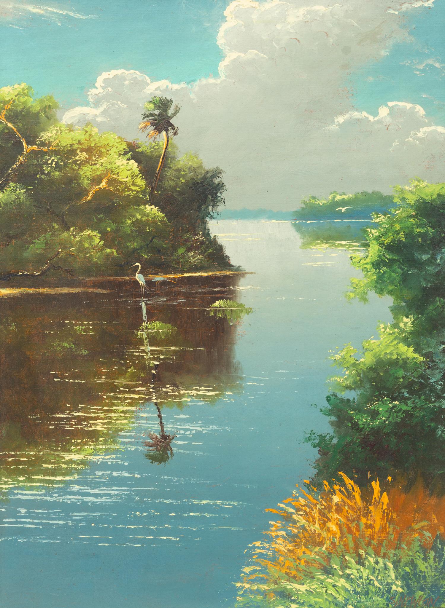 Florida Marsh