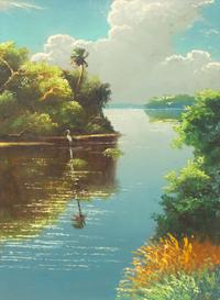 Florida Marsh