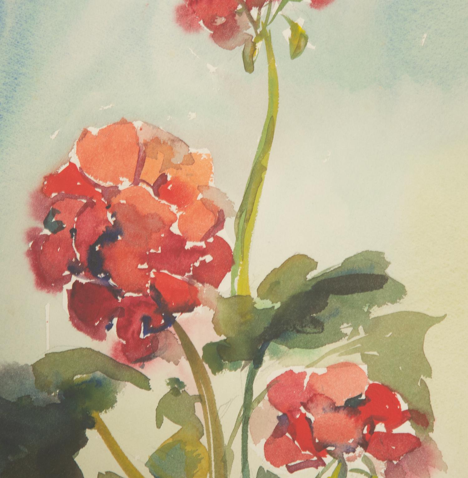 Geraniums