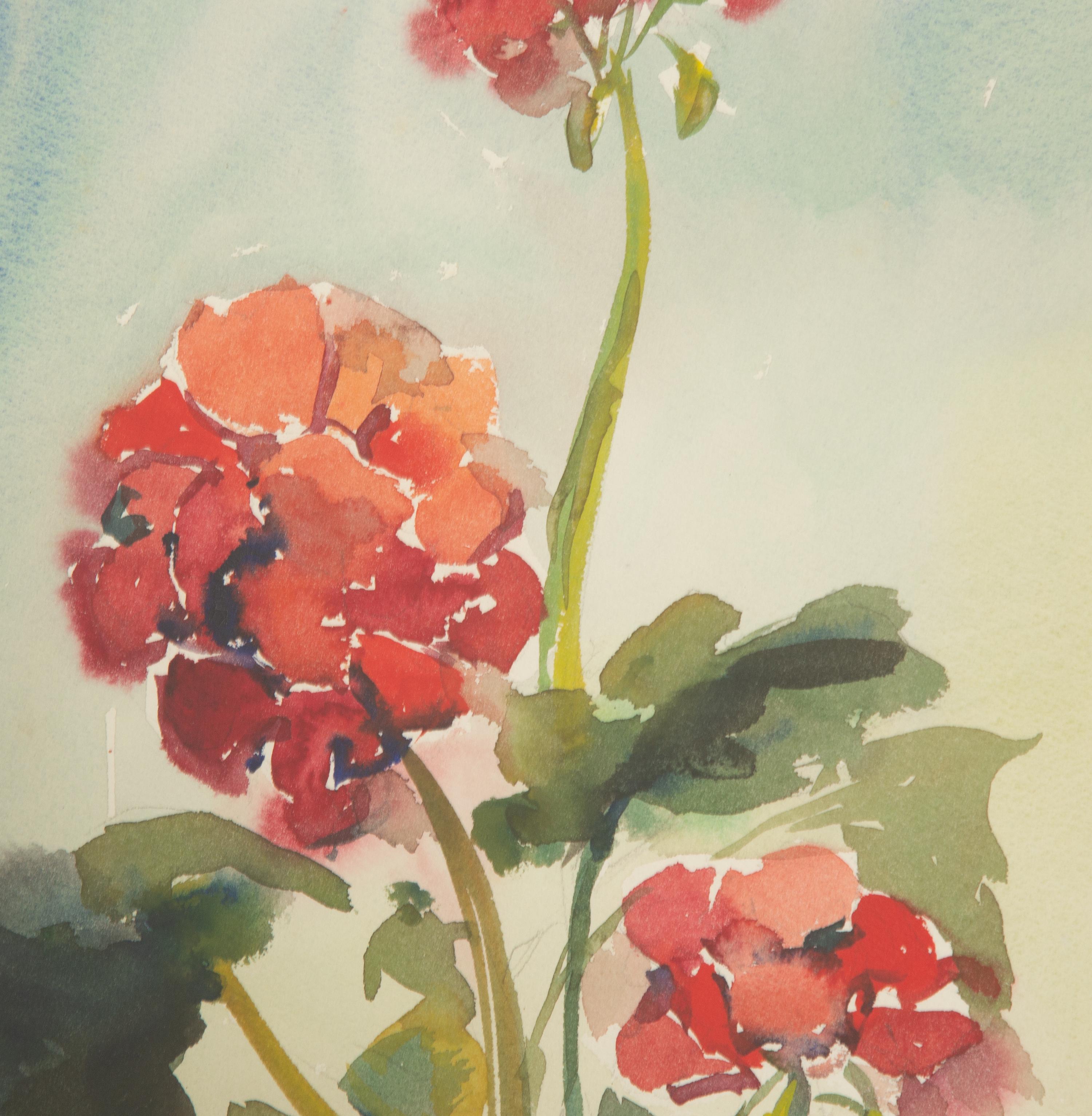 Geraniums