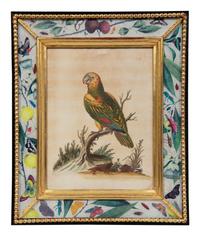A Set of Twelve Hand-Colored Engravings of Parrots from A Natural History of Uncommon Birds by George Edwards (English, 1694-1773)