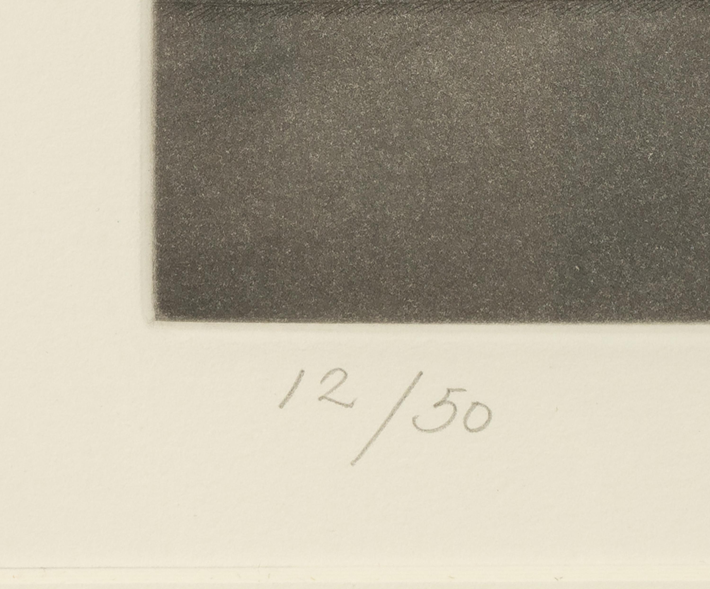 Still Life , 1993