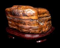 Six Chinese Scholar's Rocks