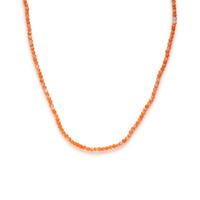 Collection of Coral Jewelry