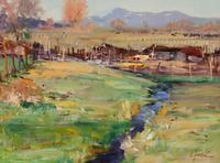 Ranchitos Farm