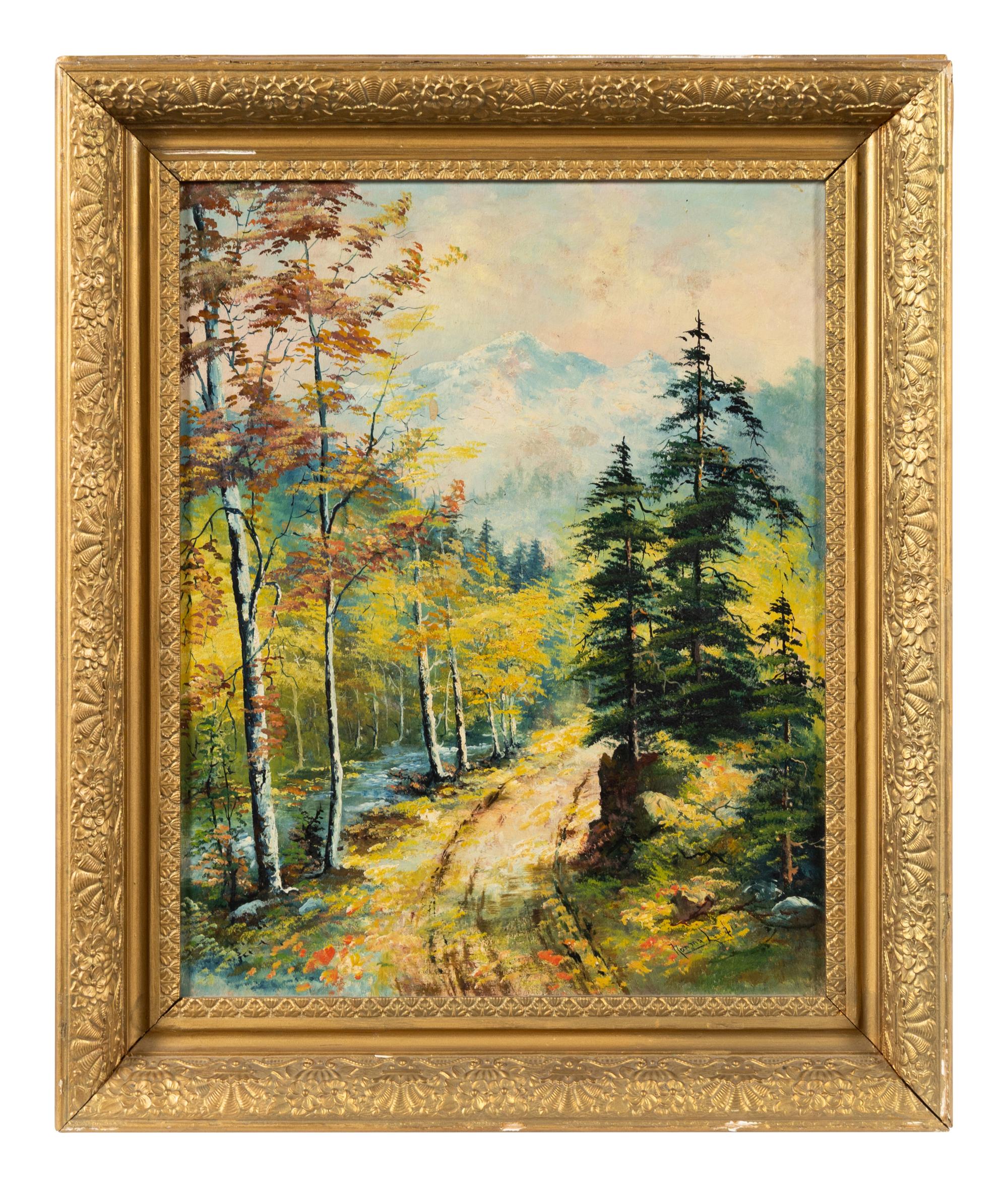 Pine and Aspen Forest