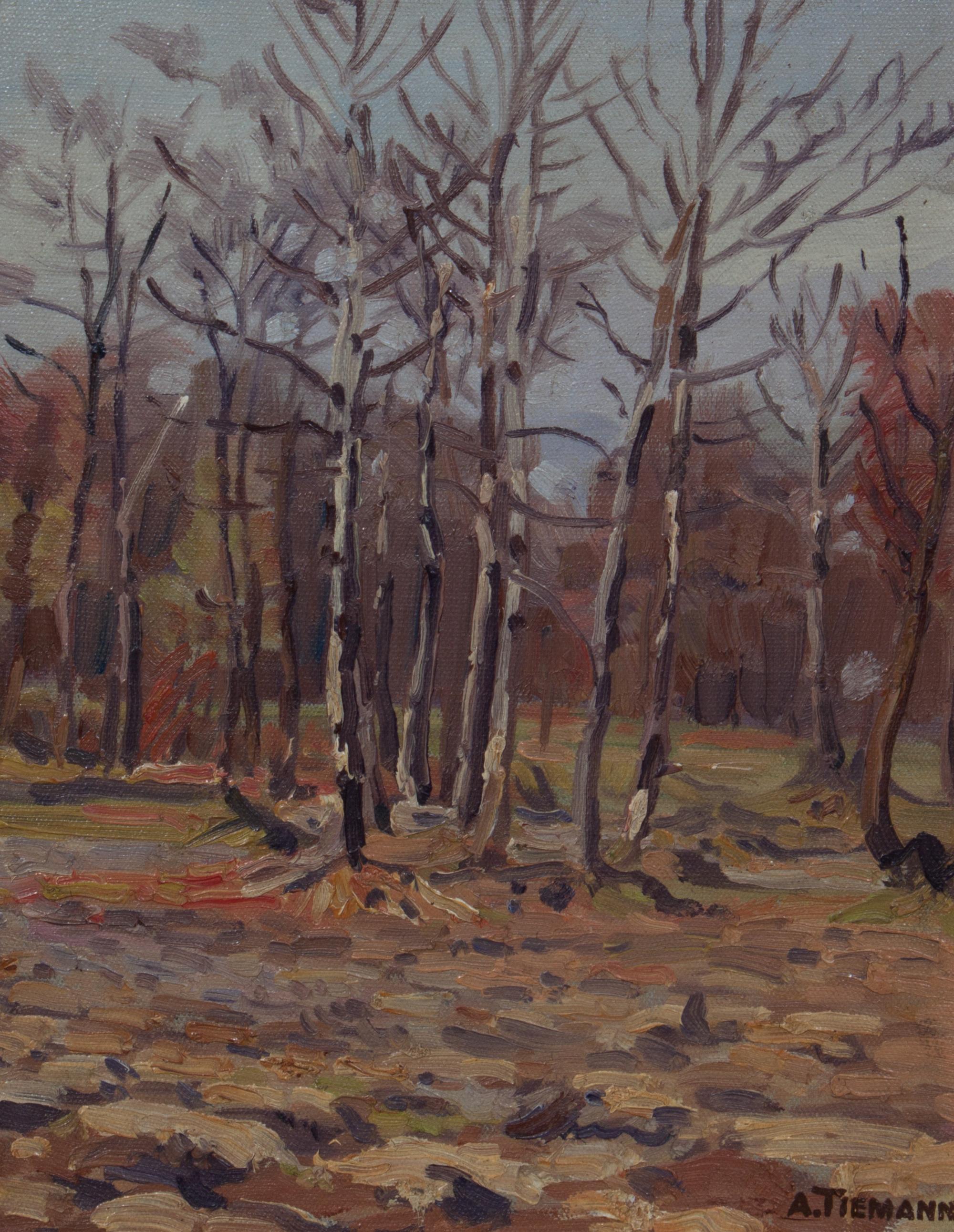 Albert Otto Tiemann, (Wisconsin, 1868-1948), Birch Trees
