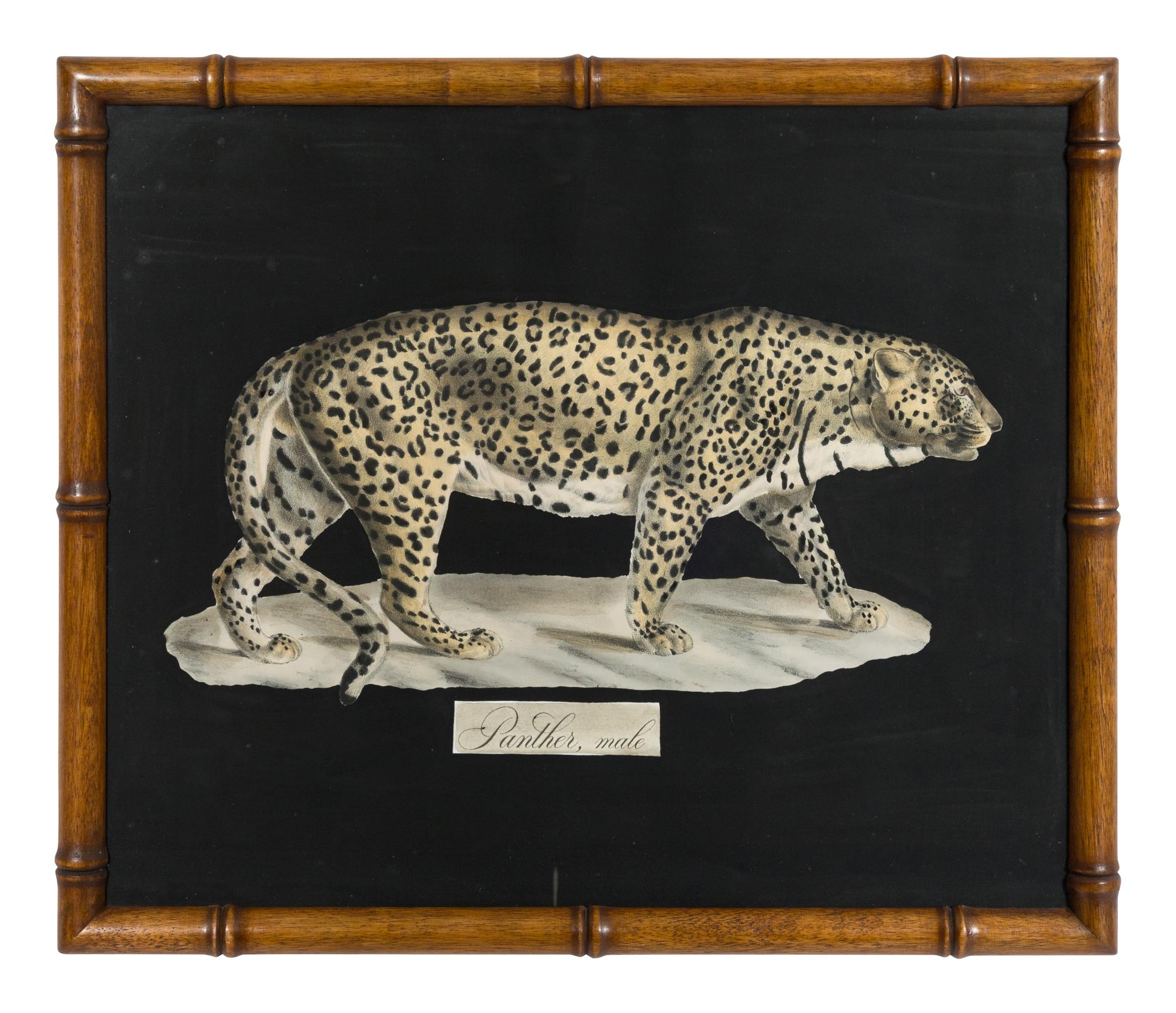 A Collection of Four Large Cat Prints
