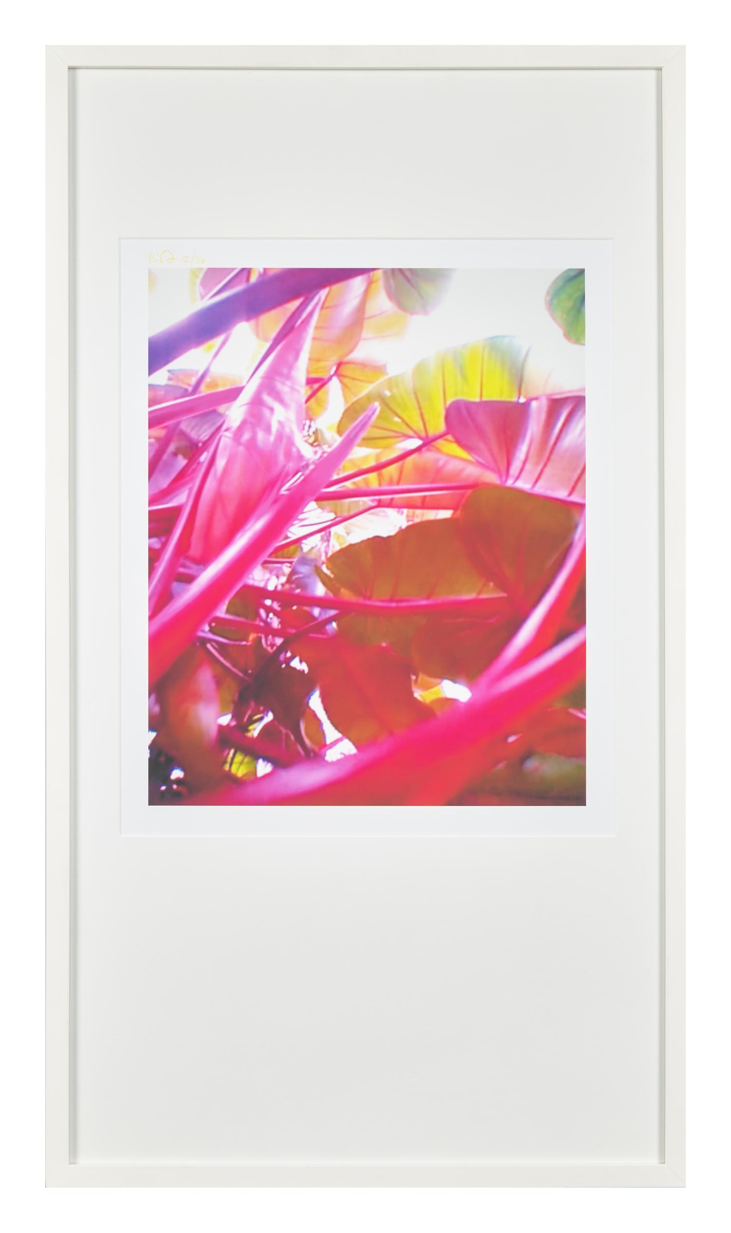 Pipilotti Rist (Swiss, b. 1962) — Small Homo Plants Herself