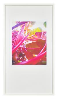 Pipilotti Rist (Swiss, b. 1962) — Small Homo Plants Herself